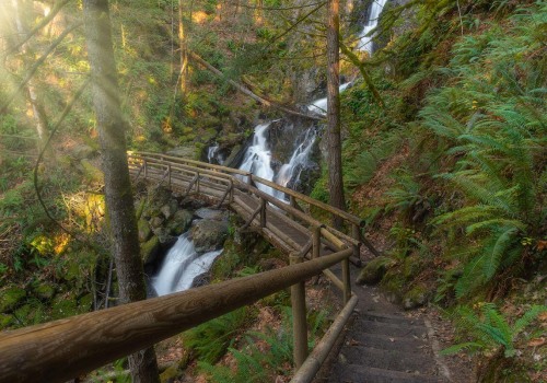 The Ultimate Guide to Trail Running in Clark County, Washington