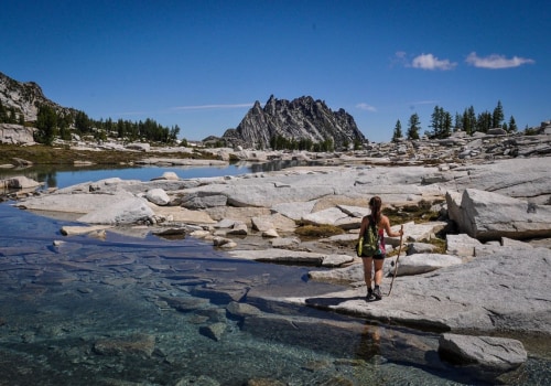 Discovering the Best Birdwatching Trails in Clark County, Washington