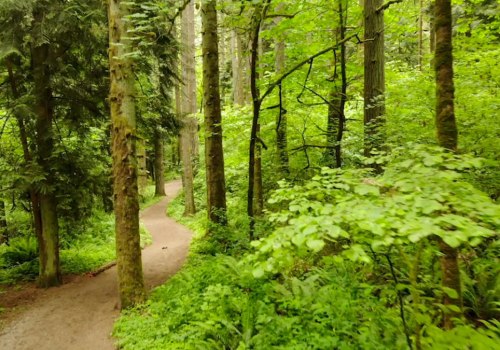 The Best Family-Friendly Hikes in Clark County, Washington